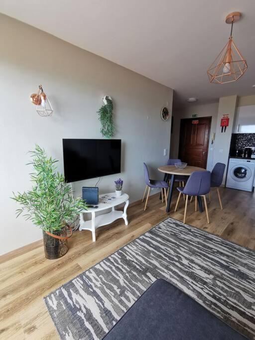 Alegria A Daire Funchal Dış mekan fotoğraf
